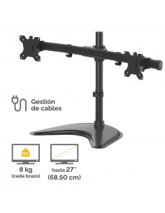 PEANA MONITOR DOBLE... 2