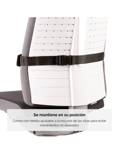 COJÍN LUMBAR FOAM FELLOWES PLUS TOUCH