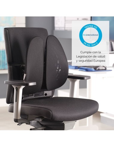 RESPALDO ERGONÓMICO MOLDEABLE...