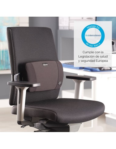 COJÍN LUMBAR FOAM FELLOWES PLUS TOUCH