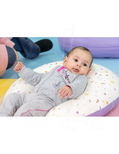 COJÍN HERRADURA DECORADO