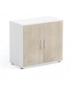 ARMARIO ADA PUERTAS MADERA